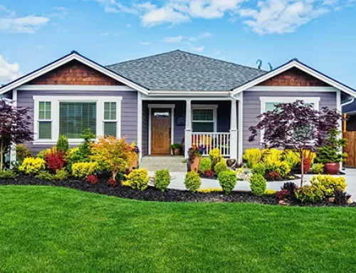 Curb Appeal: Five Simple Tips to Help Your House Stand Out