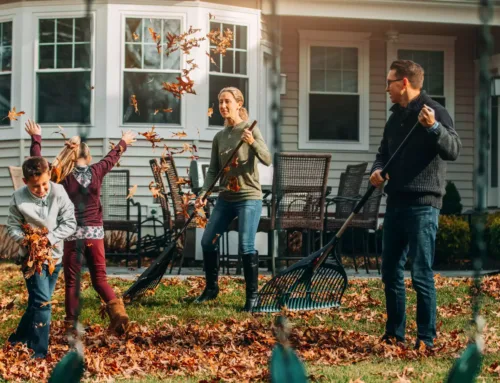 Falling Leaves, Rising Value: How Seasonal Home Improvements Can Boost Your Appraisal